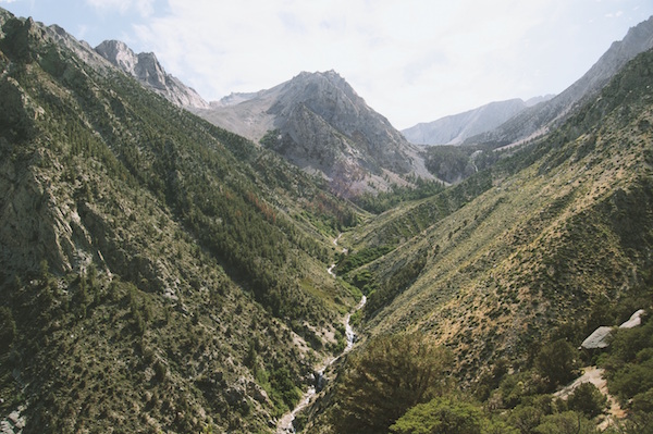 Deer Hunting in the Mountains