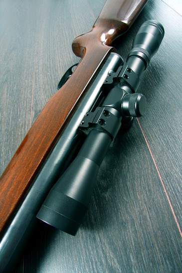 Scope mounted on a rifle