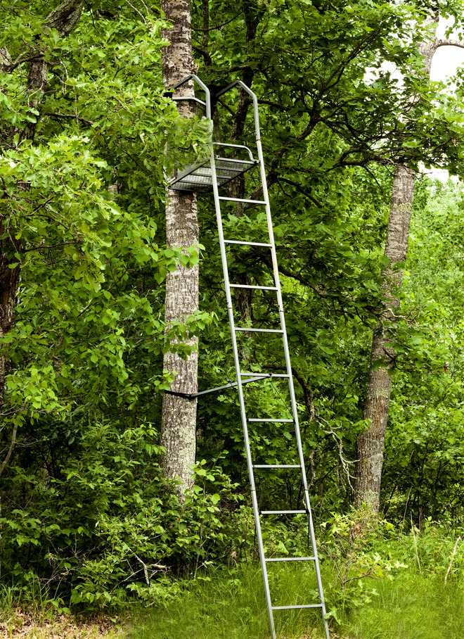 Top Tree Stand Reviews