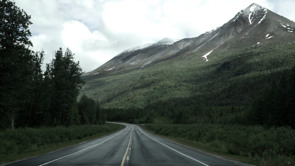 alaska bear hunting